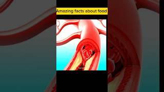 Top 10 amazing facts about foods  #food #facts #foodzoom