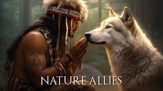 Nature Allies - Healing Power of Native American Flute Music - Amazing, This Sound is Magical