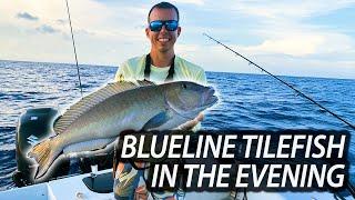 Sunset to Starlight: Tilefish Fishing Techniques in the Evening