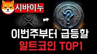 이번 주 부터 급등 확실한 알트코인 TOP1! 저는 이것만 삽니다