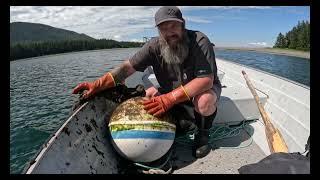 Life on an Alaska island comes with a unique set of chores