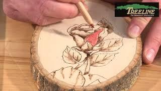 How to Use Oil Based Color Pencils with Wood - TreelineUSA.com