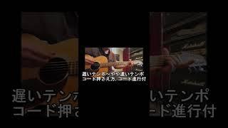 (アコギ虎の巻)カノンでアコギ上達(KeyC,D,E,F,G,A,B)Canon chord progression guitar practice #ギター #アコギ #カノン#動画で練習