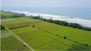 BEACHFRONT Land | Tanah pinggir pantai dijual di Bali HARGA MURAH | Saat yang tepat berinvestasi