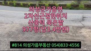 #814 의성가음부동산 2차선 250m거리 산중턱 확트인전망 묵은밭 977평 3300만 (당3.4만원) 전기가능 자연인 묘터가능 #의성군땅#귀농귀촌#주말농장#싼땅#임야#자연인#묘터