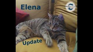 Elena - Süße junge Mama möchte endlich durchstarten - Update