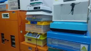 Best Incubator || Sherwani Expres Incubator Multan || Incubator homemade