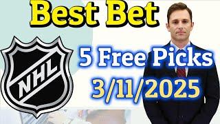  AI’s Best NHL Bets—Don’t Miss!