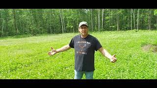 Clover and petennial food plot management