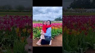 A đay out at the tulip farm #tulipfarm #tulip #blooming #flowers #daylight #kids #fun