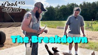 The Breakdown | (from Look at Dish #35 - The Яanch)