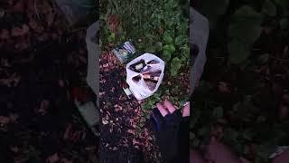 Мусор на рыбалке #мусор #рыбалка