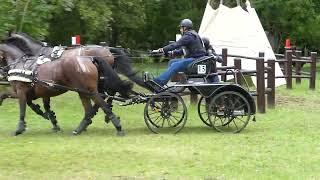 37 BERRARD, Raphael, FRA, CAIO4# H2, Donaueschingen, Marathon Ob5, Pairs horses, 14 09 2024