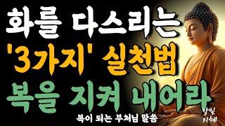 현명한 사람은 화를 내지 않는다ㅣ화를 다스리는 '3가지' 실천법 복을 지켜 내어라ㅣ부처님 말씀ㅣ불교 명언ㅣ석가모니 가르침