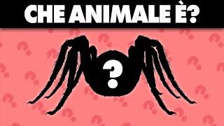 Indovina l'Animale dalla Silhouette | Quiz Animali