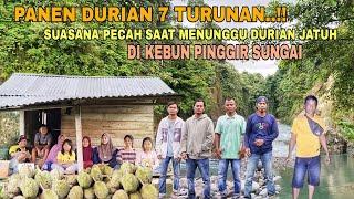 PANEN DURIAN 7 TURUNAN.. !! SUASANA PECAH SAAT MENUNGGU DURIAN JATUH DI KEBUN PINGGIR SUNGAI