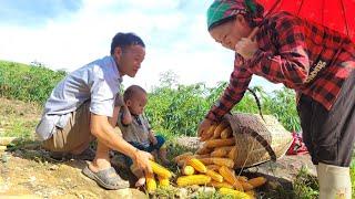 Pick boiled peanuts to eat, pick vegetables and squash