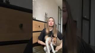 Лучшие сторис Anastasia Shepelevich (@shepelevich) подборка  от Undelete News за 12.03.2020