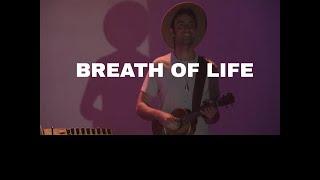 "Breath of Life" Live from The Opera House - Sina Bathaie