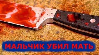 12 летний российский школьник жестоко убил свою мать