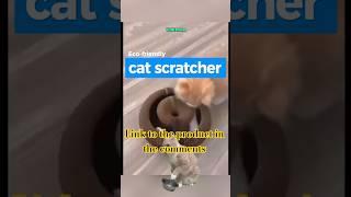 Looking for the Best Cat Toy? Try the Organ Claw Board!