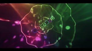 Smpl. Rayquazadzn | TOP 10 INTROS #6 | 2017 Christmas :0