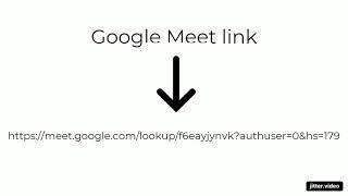 Google meet information