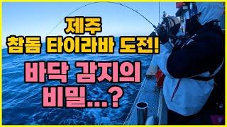 ｜제주 참돔 타이라바｜간단하게 바닥을 읽어보자! / 제주도 참돔 타이라바 タイラバ Light jigging Fishing