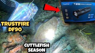 NIGHT SPEARFISHING WITH TrustFire DF90 DIVING FLASHLIGHT NAPAKAGANDA