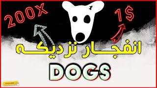 تحلیل داگز؛دقیق ترین تحلیل داگز،کی بخریم؟| Dogs Analysis