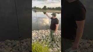 So pimpe ich meine Aal Köder #angeln