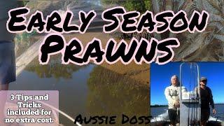 Prawning RiverHeads Queensland, Tips, Tricks, Castnetting. #prawns #castnet #fishing