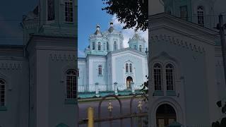 Простая истина #shortvideo #цитатыпрожизнь #цитаты #жизнь