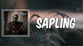 Foy Vance - Sapling (Lyrics)