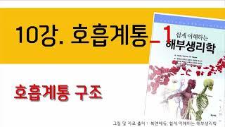 10강) 호흡계통_호흡계통의 구조