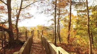 Lookout Highlands - Lookout Mountain, Georgia