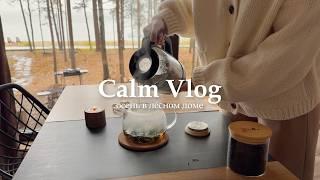 CALM VLOG: дождливый осенний день - уютный дом, глинтвейн, чтение 