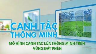 Canh tác thông minh | Mô Hình Canh Tác Lúa Thông Minh Trên Vùng Đất Phèn | VTV9