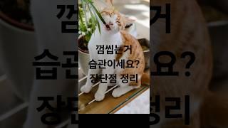“껌 씹는 거, 습관이세요?좋은 점, 안 좋은 점!#shorts”#1분건강#껌씹기 #정신건강#1분 건강