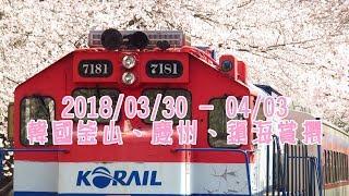 20180330~0403 韓國釜山、慶州、鎮海賞櫻