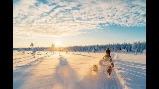 The Lapland Trip 2019 - Official Aftermovie