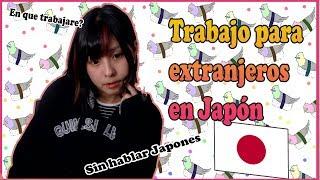 Como es trabajar en Japón para un extranjero?