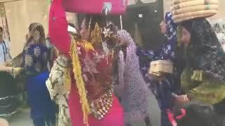 y2mate com   irani baloch family group bandar abbas iran wedding dance I6ub1tmVma0 360p