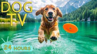 DOG TV for Dogs to Watch: Video Relax & Anti Anxiety Dogs When Home Alone - Best Music for Dogs