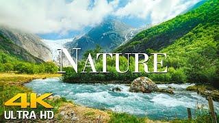 Natural Landscape Film World 4K: Scenic Relaxation Film With Calming Music || Scenic Film