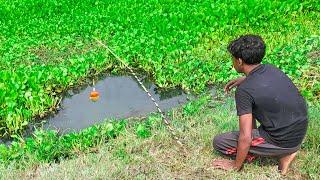 Amazing Hunting Big Fish By Hook In river | Best Hook Fishing Video