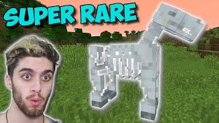 EASIEST Way To Find A SKELETON HORSE In Minecraft!!! - Minecraft's Rarest Mob