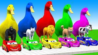 5 Giant Duck Cartoon,Cow,Lion,T-Rex,Husky,Bear,Monkey Paint Wild Animals Crossing Fountain Animation