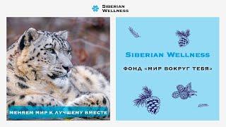 Фонд «Мир Вокруг Тебя» Siberian Wellness: меняем мир к лучшему вместе