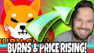 Shiba Inu Coin | SHIB Burn Rate Soars As SHIB Price Rises!